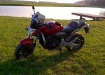 Honda CB 600F Hornet